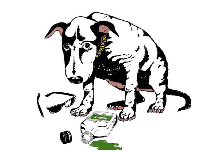 アート・デザイン・音楽 BLAME IT ON THE DOG 55/100 Anyone else