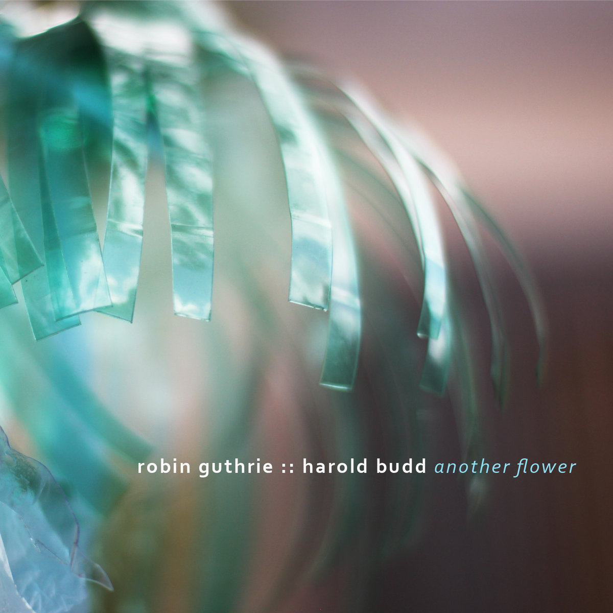 Another Flower [Album] | Robin Guthrie & Harold Budd | Robin Guthrie
