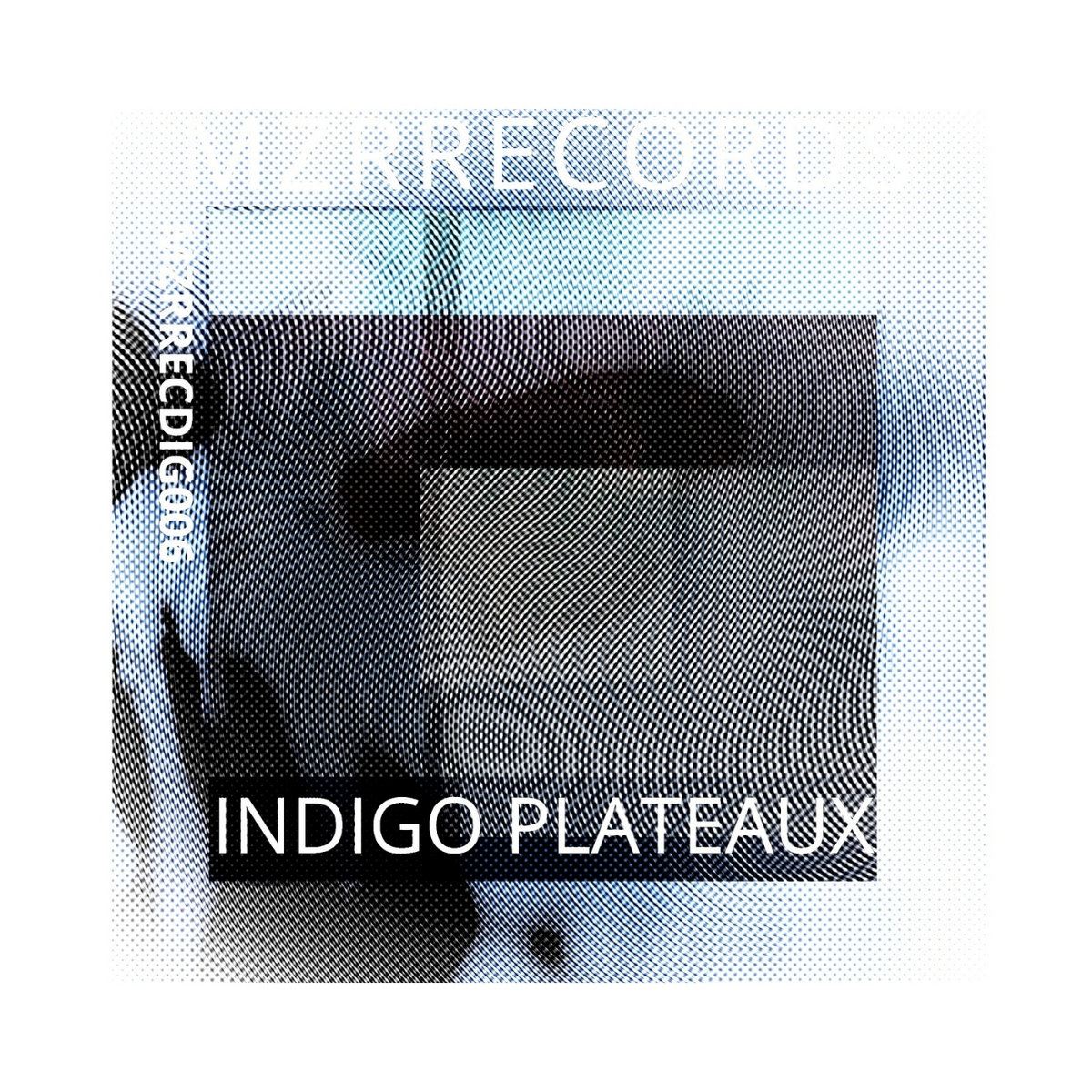 MZRRECDIG004 | mchvlsm | MZRRECORDS