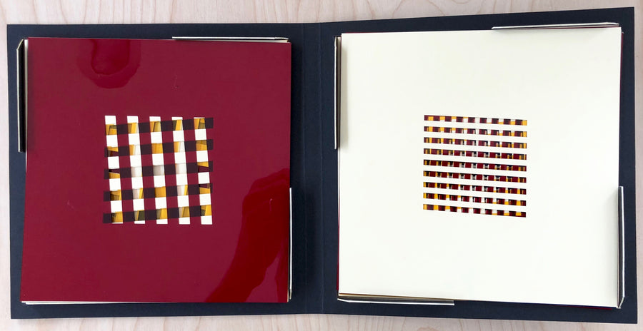 DIETER ROTH: BOOK T1 FACSIMILE (ltd. to 30 copies) – Familiar Trees