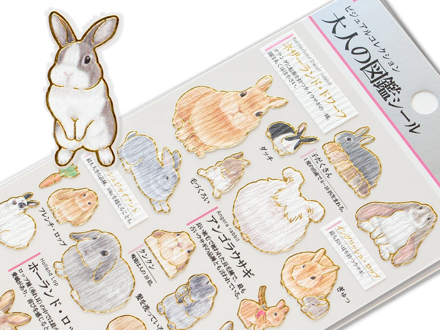 rabbit collection – Fantastic Japan