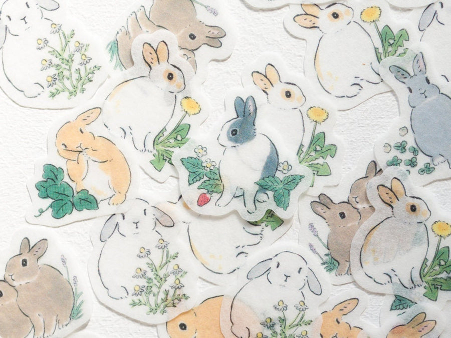 rabbit collection – Fantastic Japan