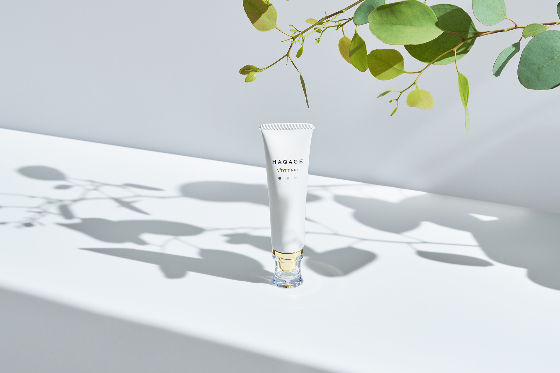 Arvo（アルボ） - FABIUS(ファビウス) 公式