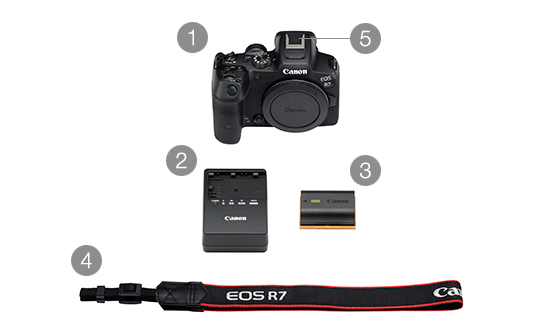 ミラーレスカメラ】EOS R7 基本情報