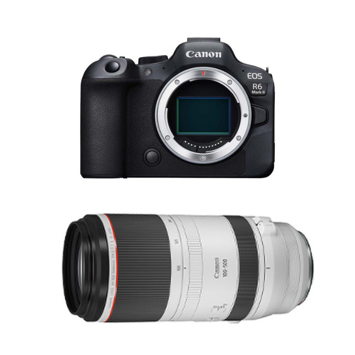 レンタル] CANON EOS R6 Mark II ＆ CANON RF100-500mm F4.5-7.1 L IS