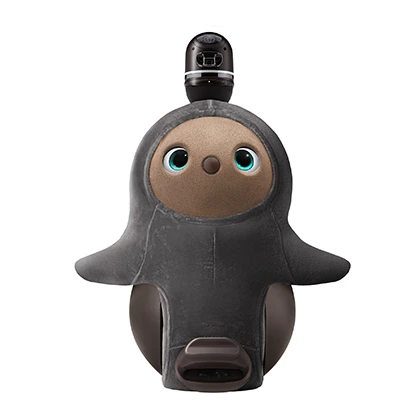 レンタル] LOVOT(らぼっと) 用 ベースウェア ベロアカットソー