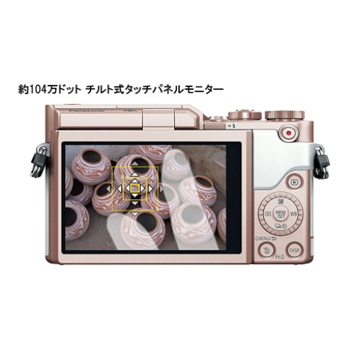 レンタル] パナソニック LUMIX DC-GF10 ボディ ミラーレス一眼
