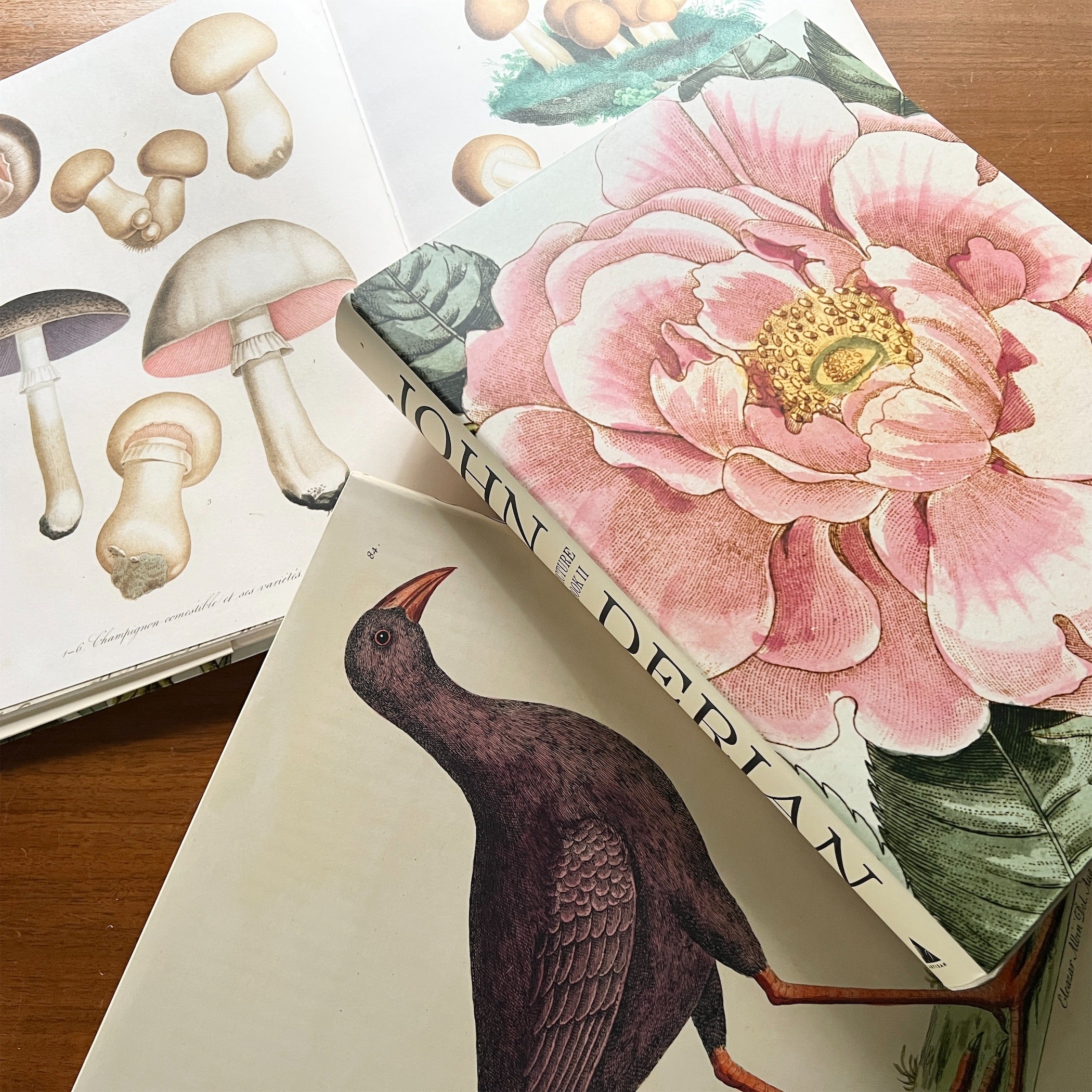 JOHN DERIAN】ピクチャーブック Picture Book II / signed | フィール