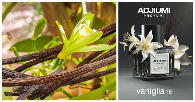 Iris Pallida Extrait 6 Guerlain perfume - a fragrance for women