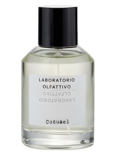 Cozumel Laboratorio Olfattivo cologne - a fragrance for men 2010