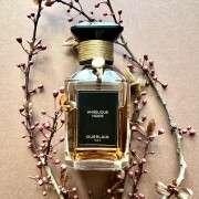 Angélique Noire Guerlain perfume - a fragrance for women and men 2005
