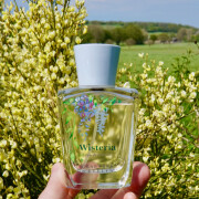 Wisteria Crabtree & Evelyn 香水- 一款2003年女用香水