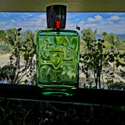 Greenley Parfums de Marly 香水- 一款2020年中性香水