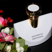 Splendida Patchouli Tentation Bvlgari 香水- 一款2020年女用香水