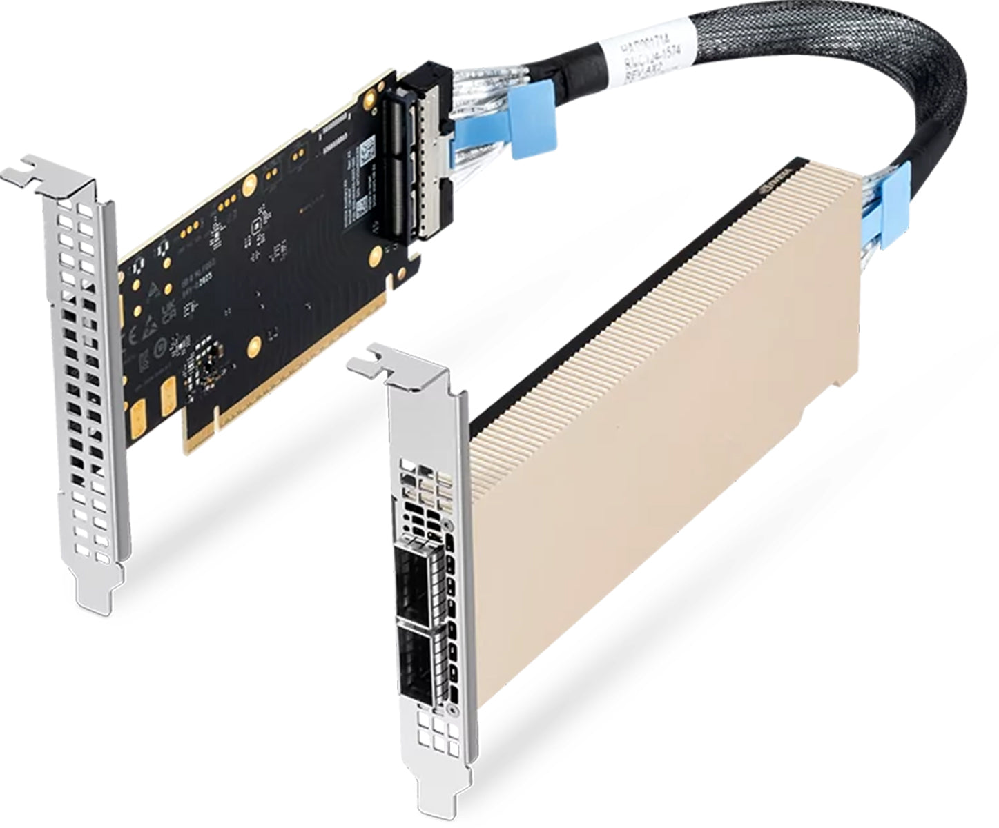 NVIDIA純正品】NVIDIA Mellanox ConnectX-8 C8240 (900-9X81Q-00CN-ST0