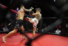 2026年2月8日WARDOG CAGE FIGHT 55レポート | ファイターズスピリッツ