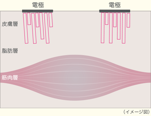 about ブリリアントウェーブ｜Partir（パルティール）公式サイト