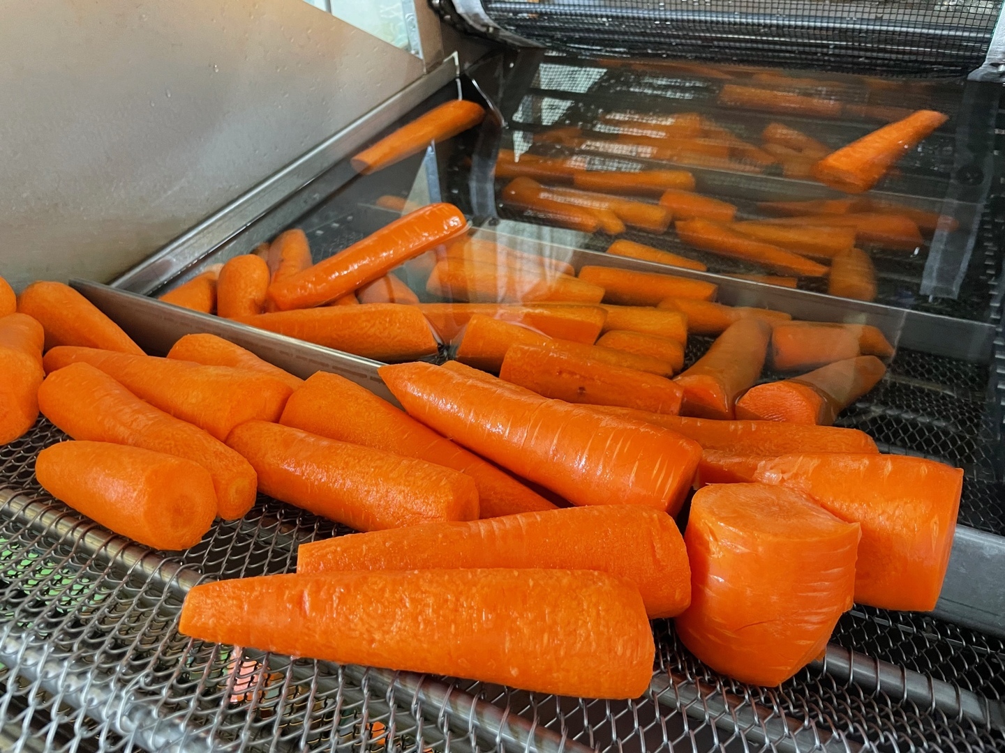 新製品】なぜ今「冷凍ニンジンジュース」にワンちゃんと飼い主が夢中な