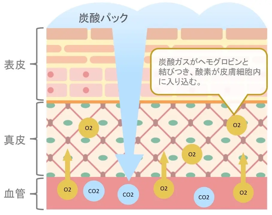 EIR Signal CO2 ジェルフェイスパック | 業務用美容・エステ機器の卸
