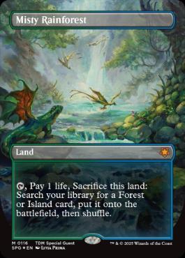 ドラゴンスケイル・Foil】(116)□ボーダーレス□《霧深い雨林/Misty