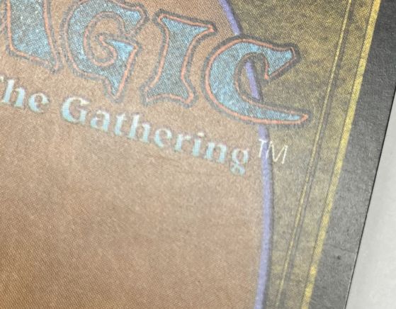 Foil】《適者生存/Survival of the Fittest》(ジャッジ褒賞)[DCIマーク