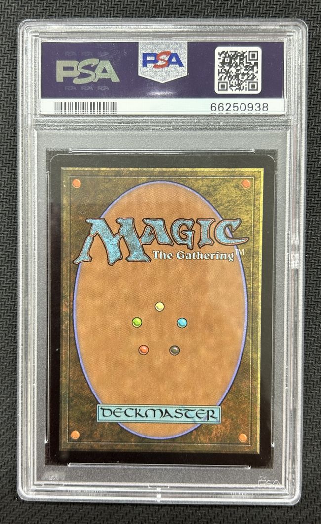 沼/Swamp》[Guruランド] 土地 | 日本最大級 MTG通販サイト「晴れる屋」