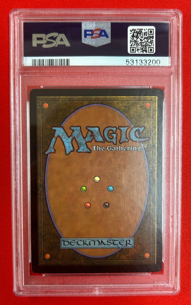 APAC3)《山/Mountain》(Illus.Edward P.Beard Jr.)[APACランド] 土地