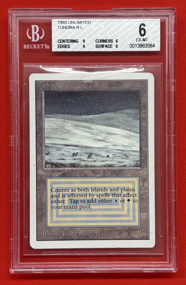 Tundra》[2ED] 土地R | 日本最大級 MTG通販サイト「晴れる屋」