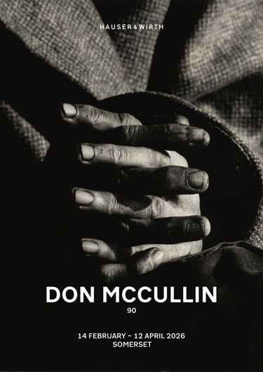 Luke Stephenson's Art For Sale, Exhibitions & Biography | Ocula Artist