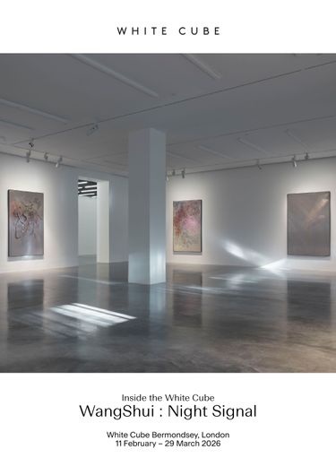 Sarah Lucas in conversation with Don Brown, film by Julian Simmons