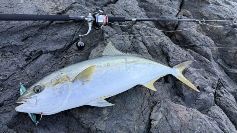 絶妙な反発感】ヤマガブランクス ブルースナイパー100M-MH徹底インプレ