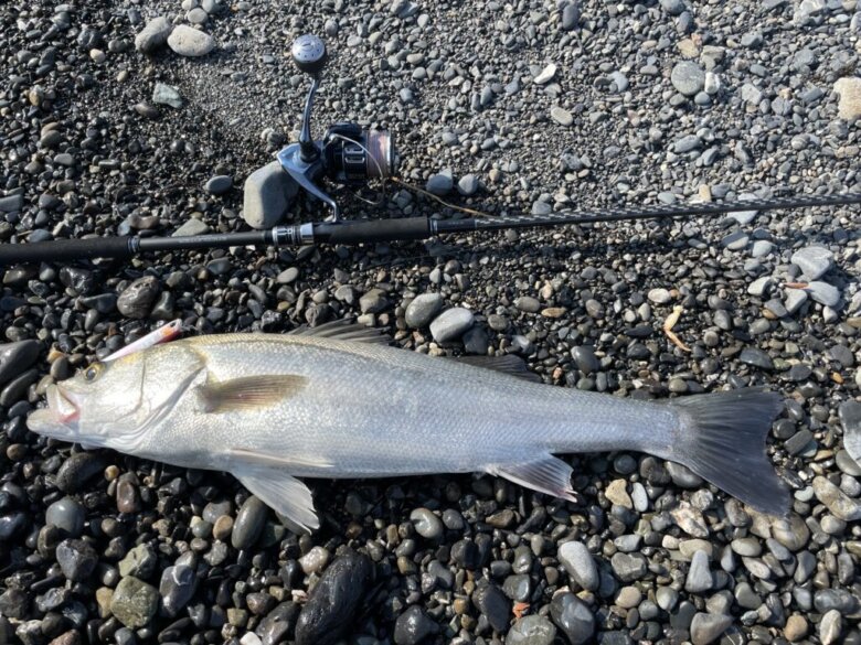 シマノ エンカウンターS106Mを徹底インプレ！【コスパ良好・超オール