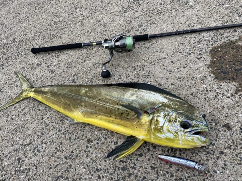 シマノ 22コルトスナイパーSS LSJを徹底インプレ！【S100ML】 | まる