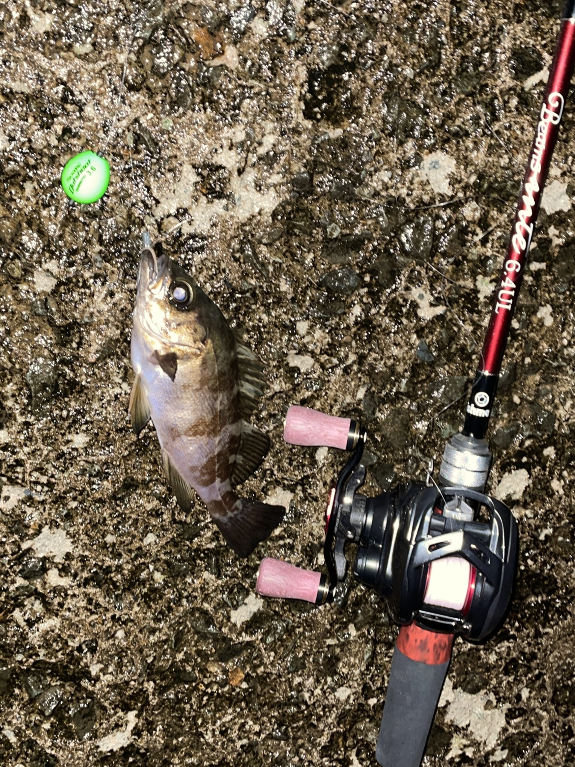 すごいぞ！ Fishman Beams inte6.4UL インプレ￼ | 海に出た日