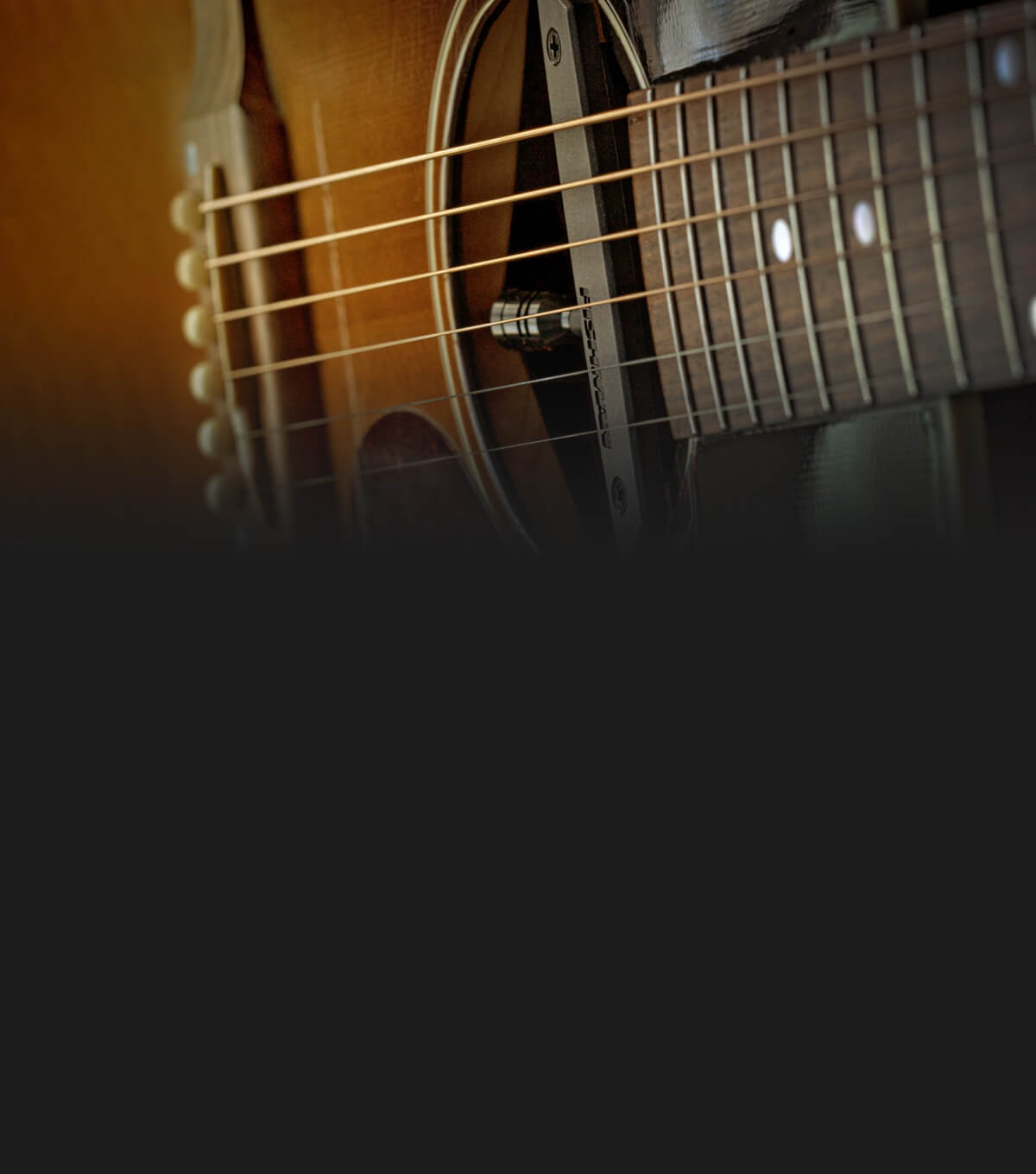 Rare Earth Mic Blend Active Soundhole Pickup