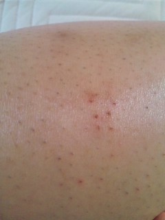 プラソニエ / プラソニエ スタイルエピの商品情報｜美容・化粧品情報は