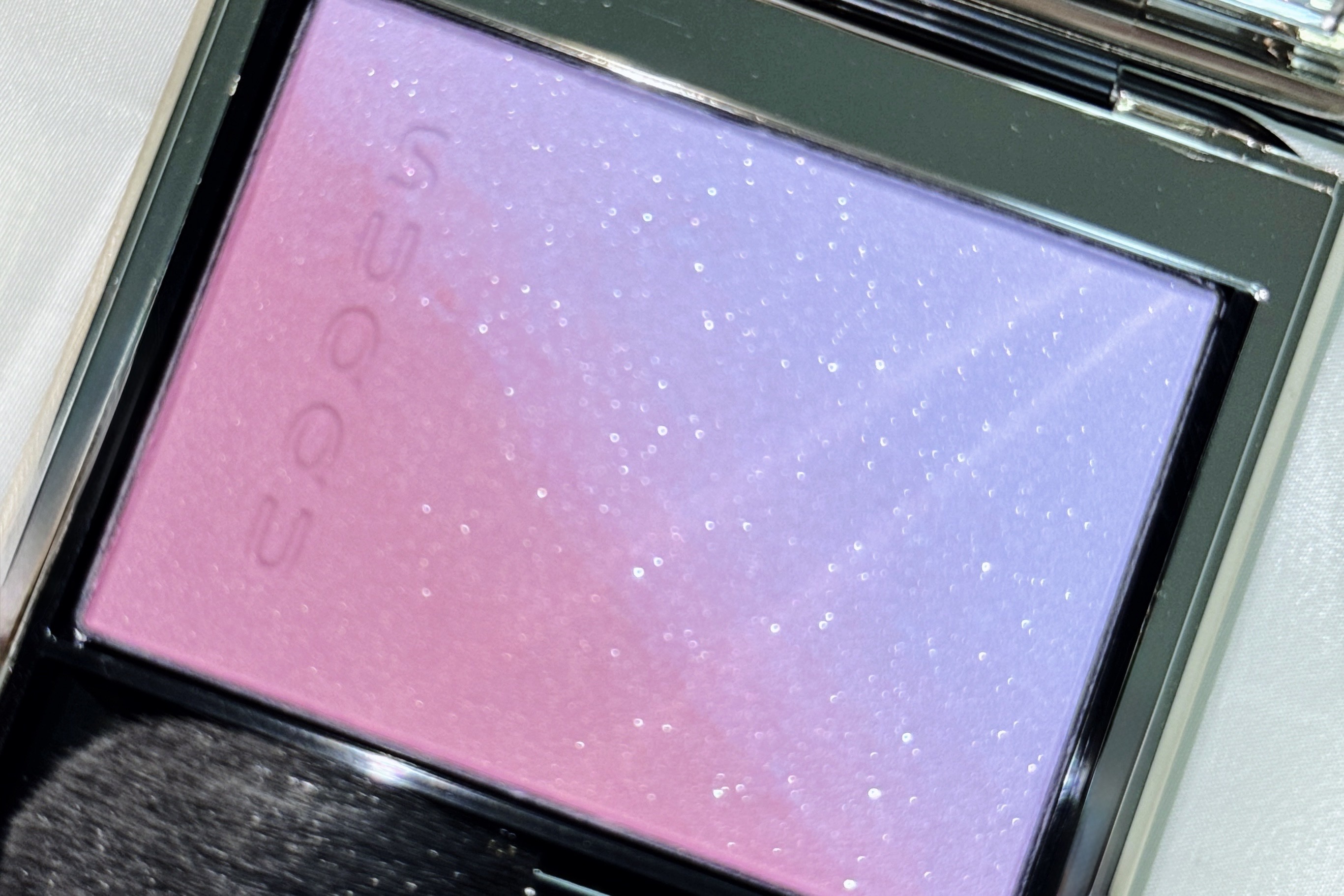 SUQQU ブラーリングカラーブラッシュ 113 冬織 限定 限定 スック