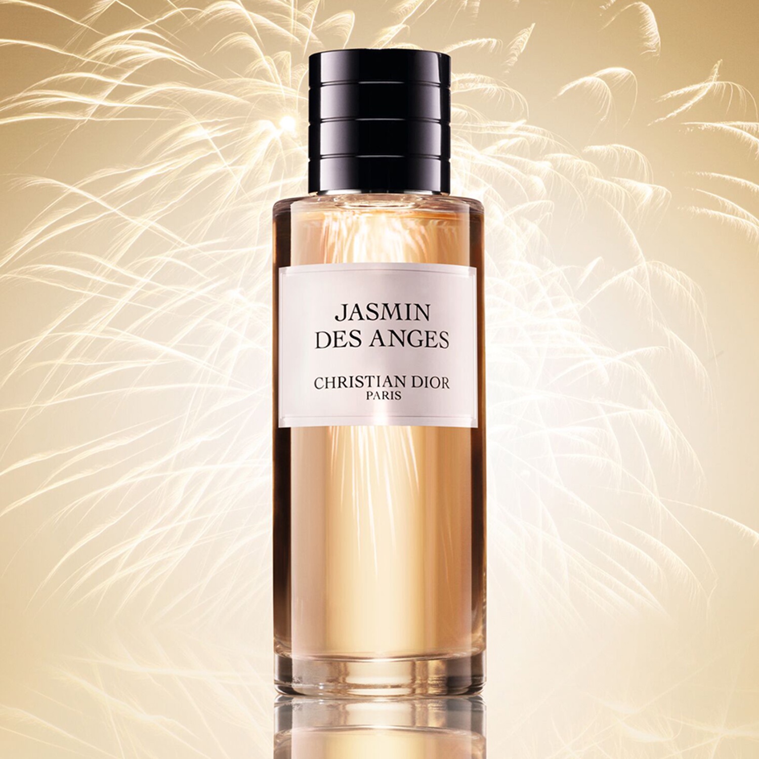 数量限定品も】ホリデーを彩る香り「メゾン クリスチャン ディオール