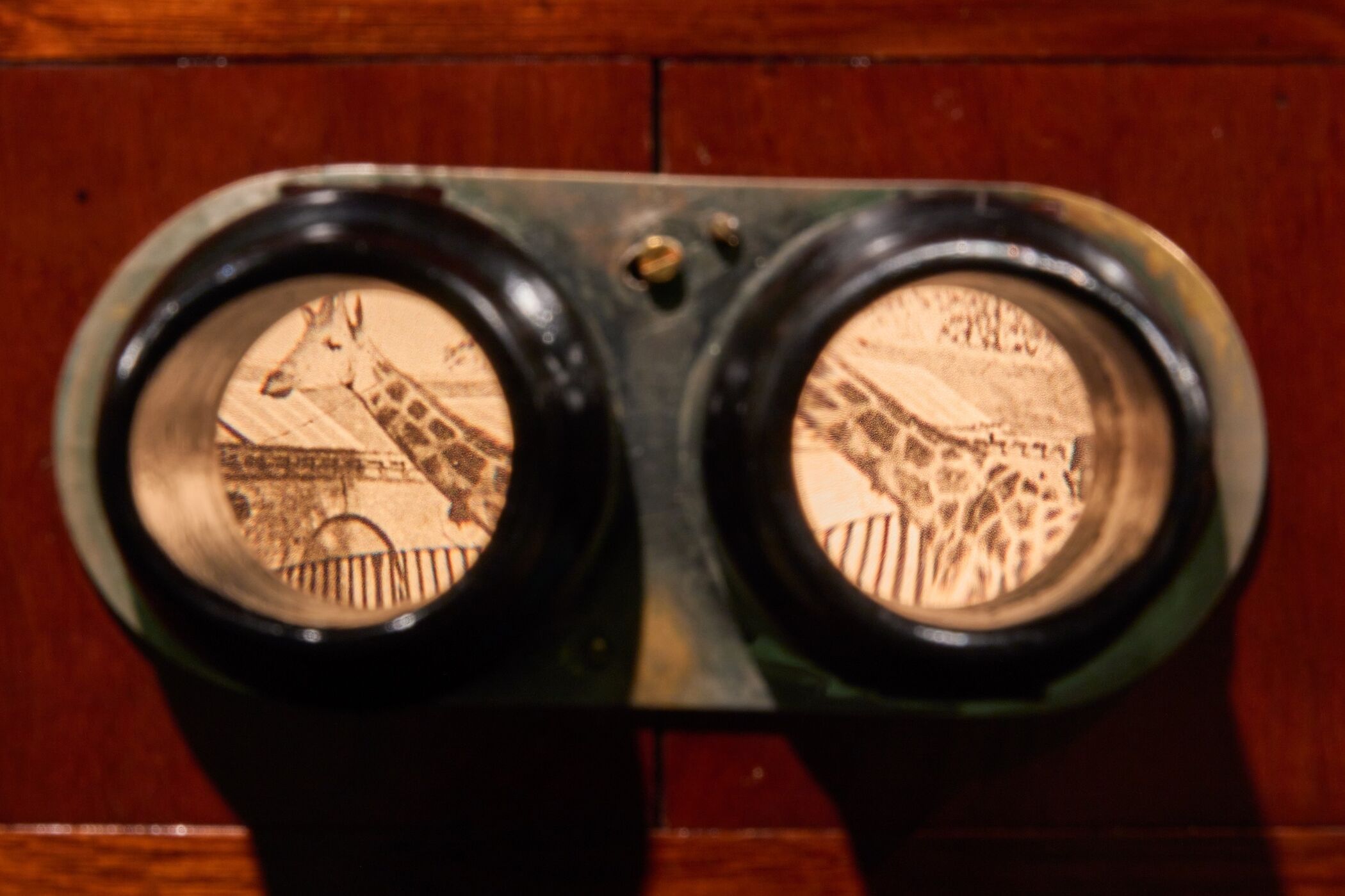 FOMU | FOMU Antwerp | Exhibitions | No Longer Not Yet - Katja Mater &…