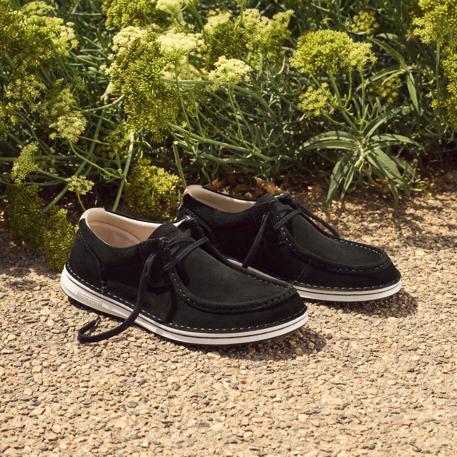 Birkenstock Pasadena black suede