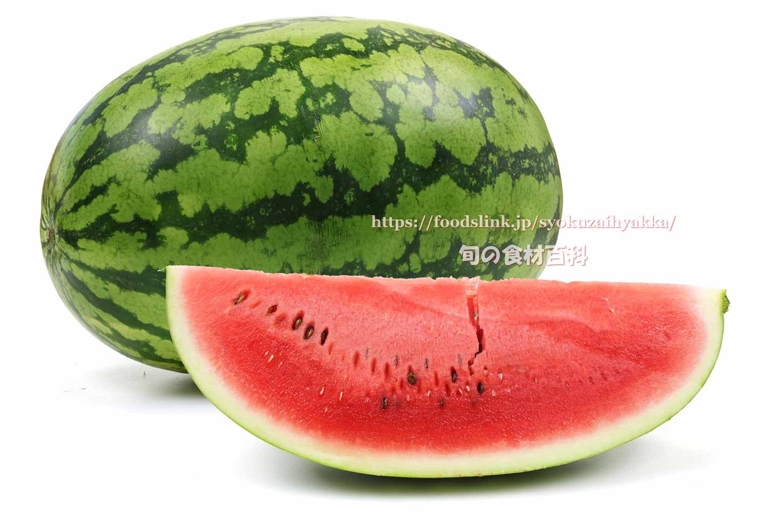 入善ジャンボ西瓜の画像一覧：旬の果物百科