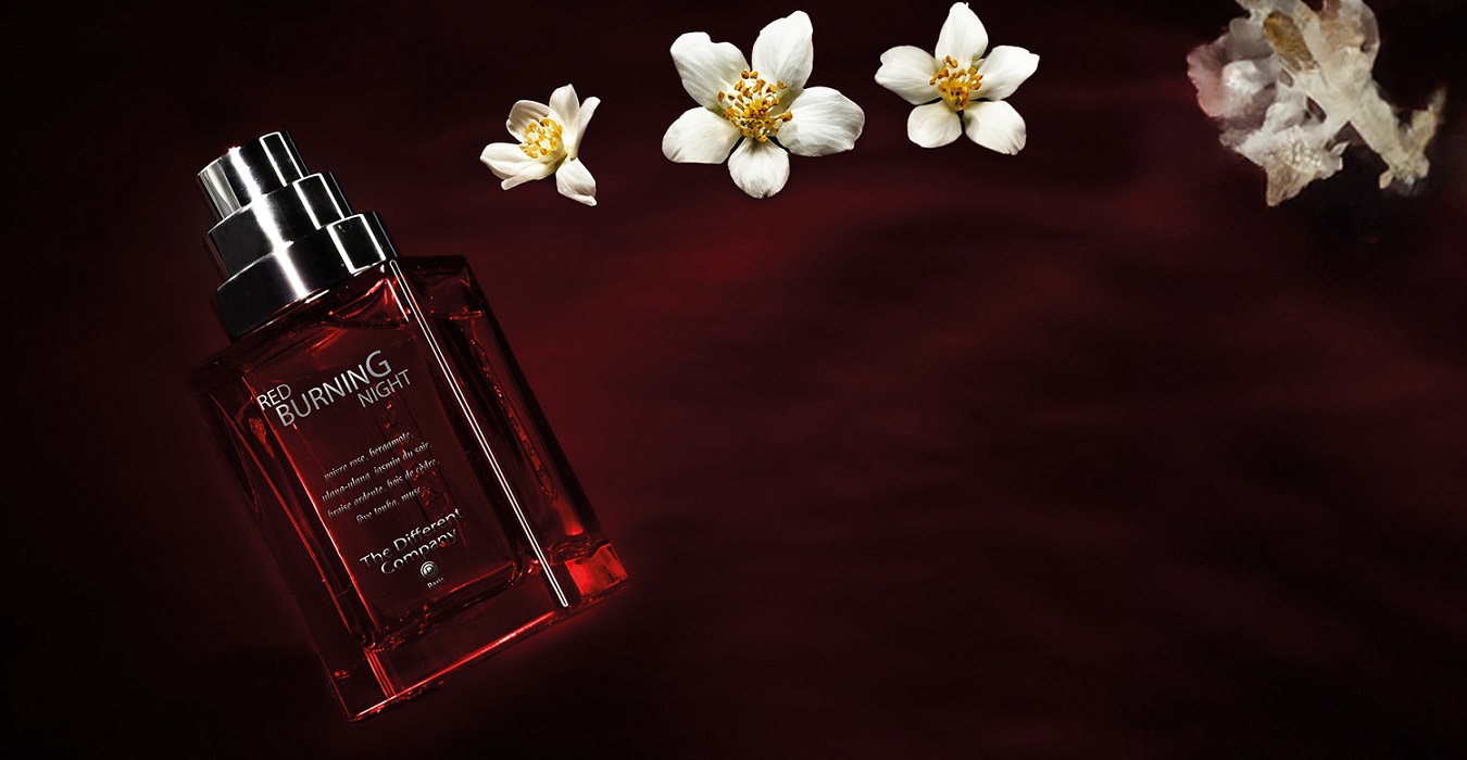 ザ ディファレント カンパニー - 株式会社フォルテ