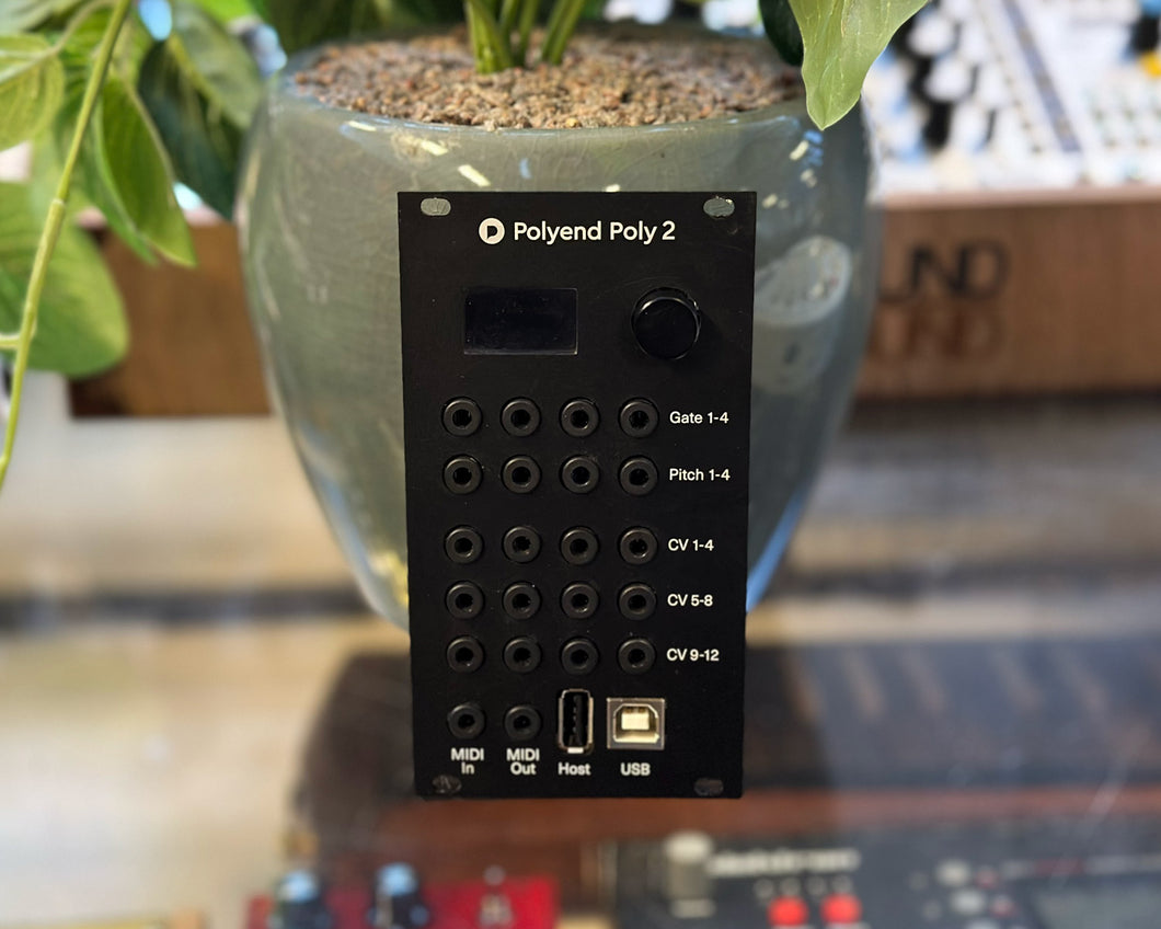 Polyend Poly 2 USB/MIDI to CV Converter Eurorack Module – Found Sound