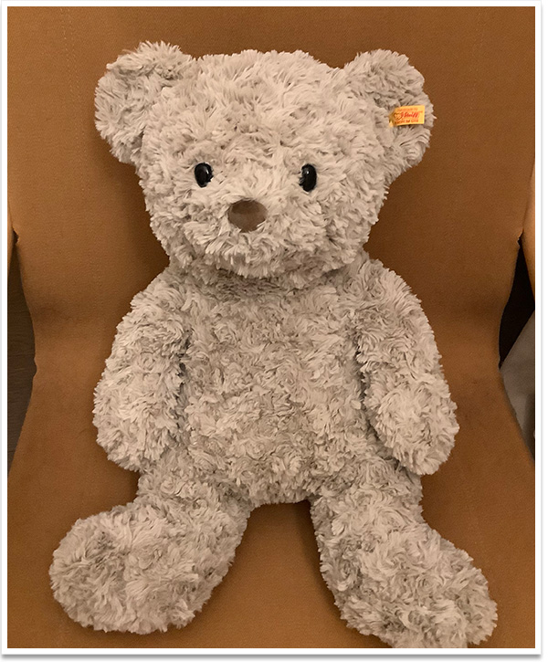 シュタイフ テディベア モーリー 24cm EAN019593