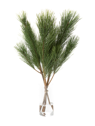 生花】マツ 枝若松【緑/70cm/栃木県】｜Flower Smith Market（フラワー