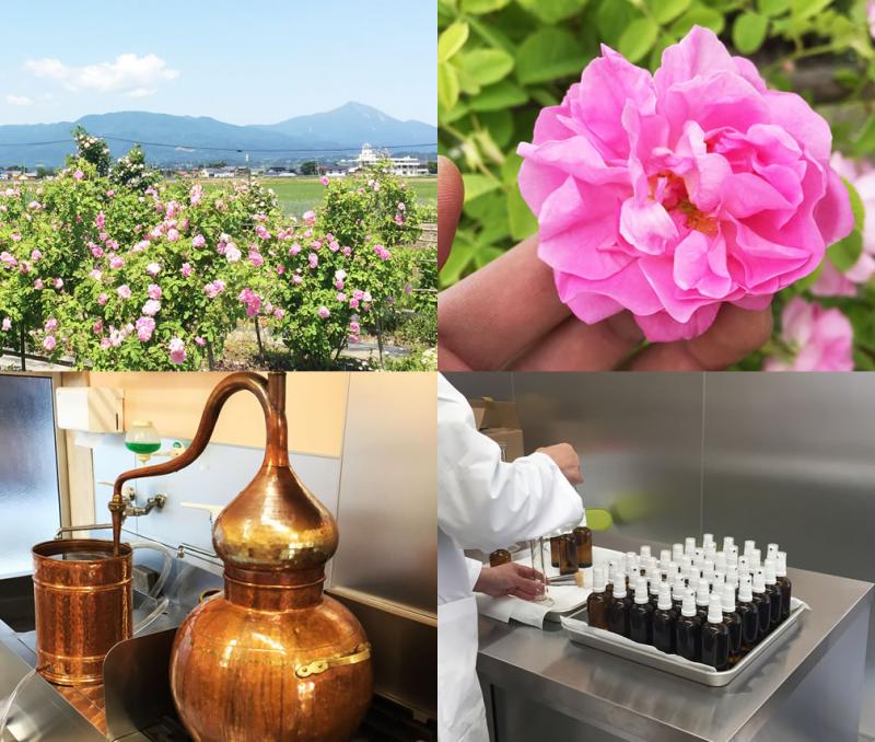 2025 ローズウォーター アルバ(会津産) スプレー 50ml | 'Scented rose