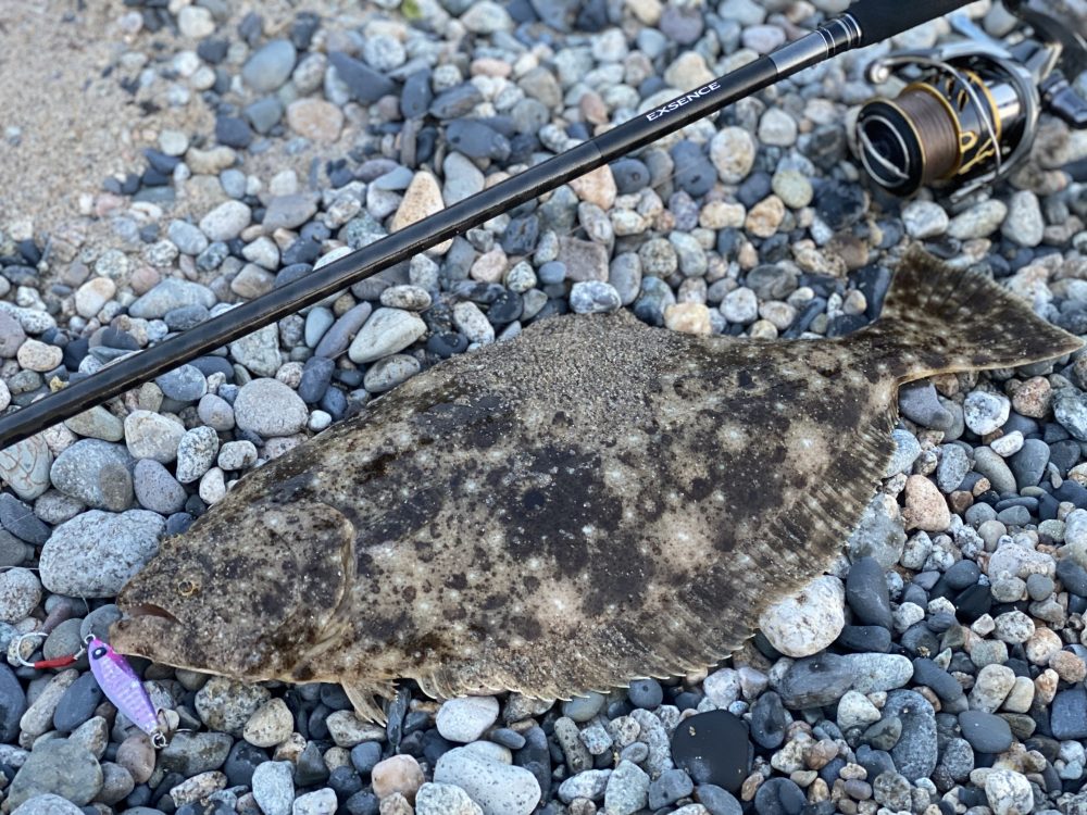 インプレ】エクスセンスジェノス ワイルドコンタクト100｜サーフヒラメ