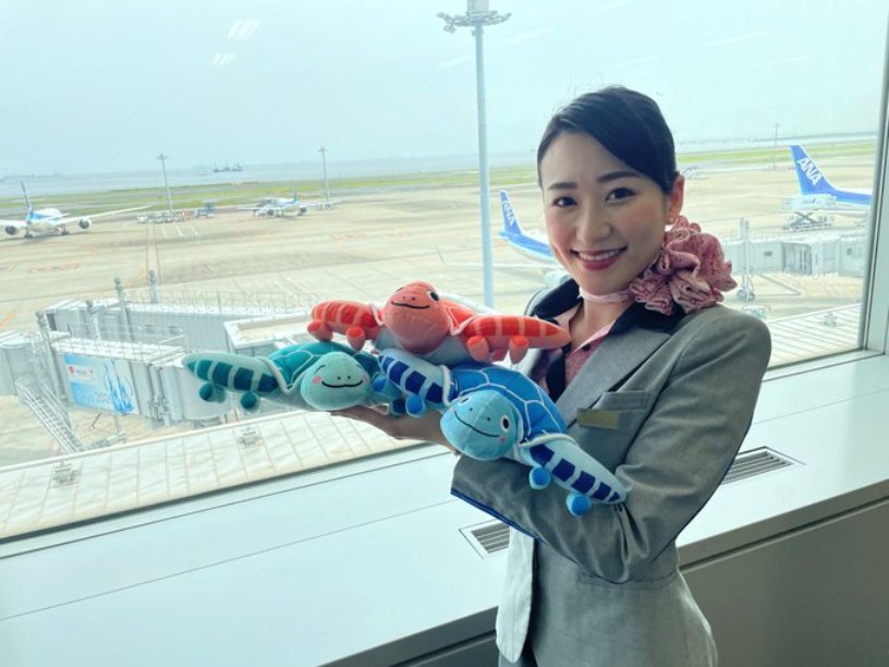 ANA、国内線機内販売「HONUぬいぐるみセット」 3号機のオレンジも