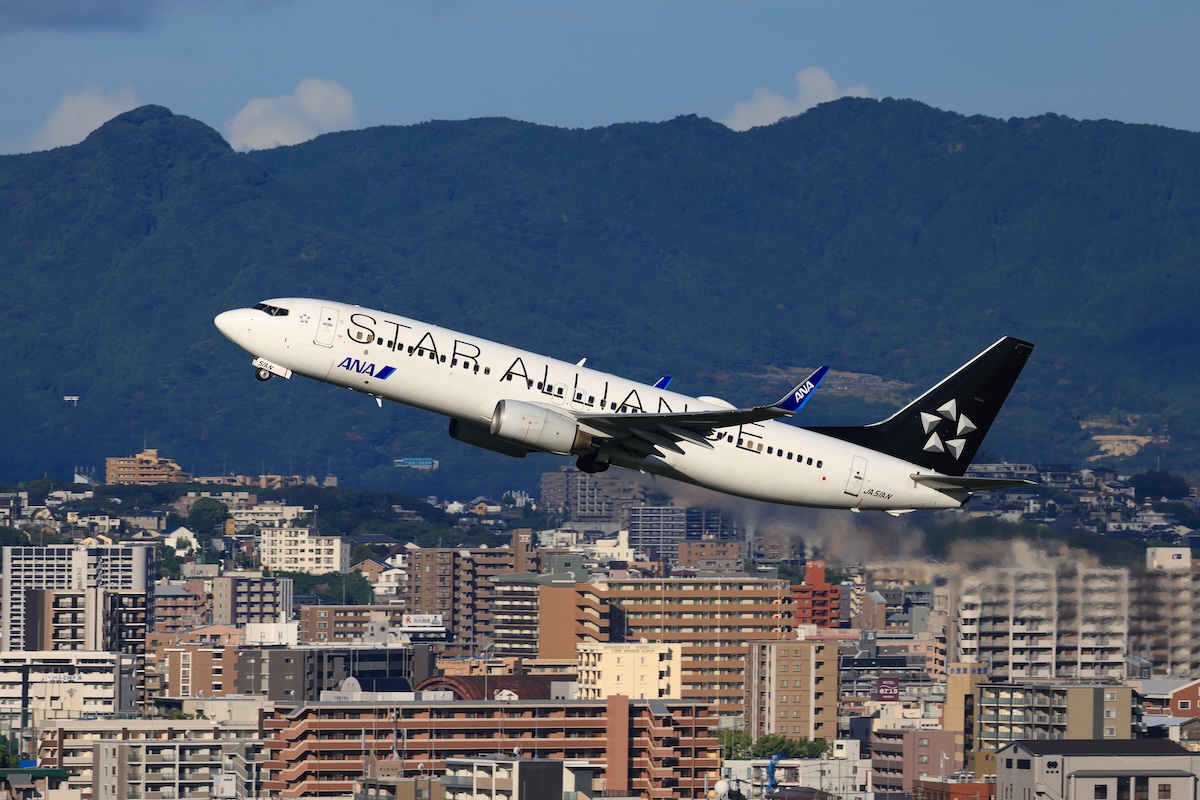 ちびアラ”ANA737-800「JA51AN」、通常塗装に…スタアラ塗装に幕