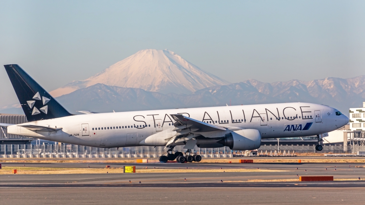 ANAスターアライアンス特別塗装機、6機から3機に | FlyTeam ニュース